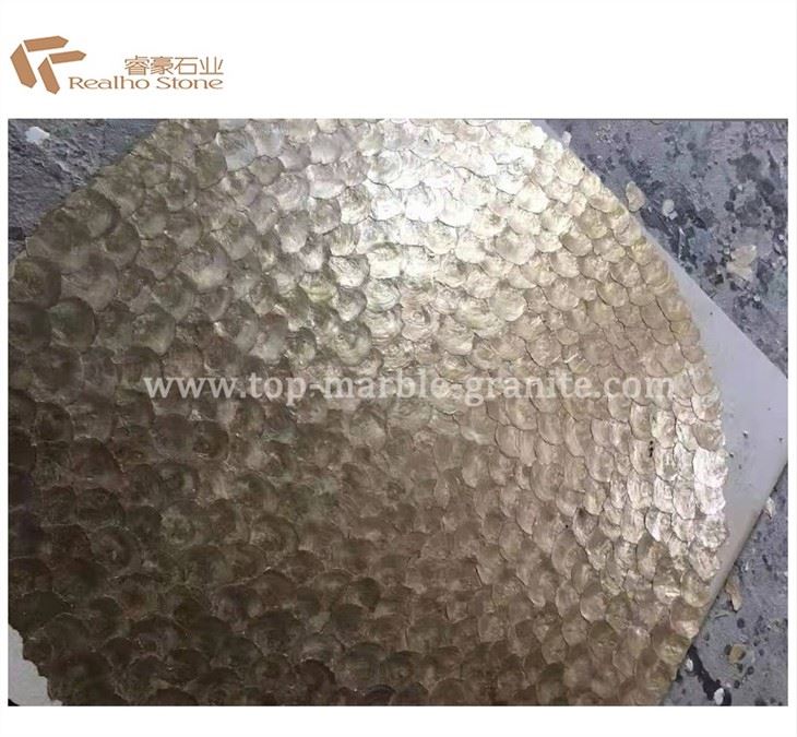 Circle Shell mosaic tile